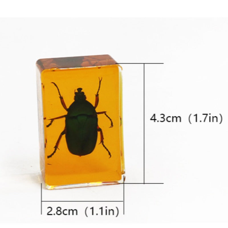 Wholesale 12pcs Real Insect Scorpion Resin HD Transparent Craft Ornaments