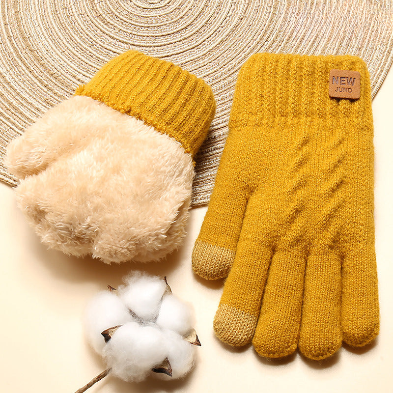 Wholesale New Ladies Winter Style Thickened Double Knit Solid Color Touch Screen Gloves