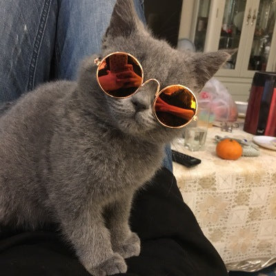 Wholesale Pet PC Sunglasses