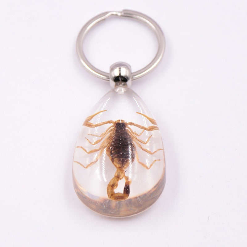 Wholesale 6pcs Resin Insect Specimen Transparent Glue Keychain