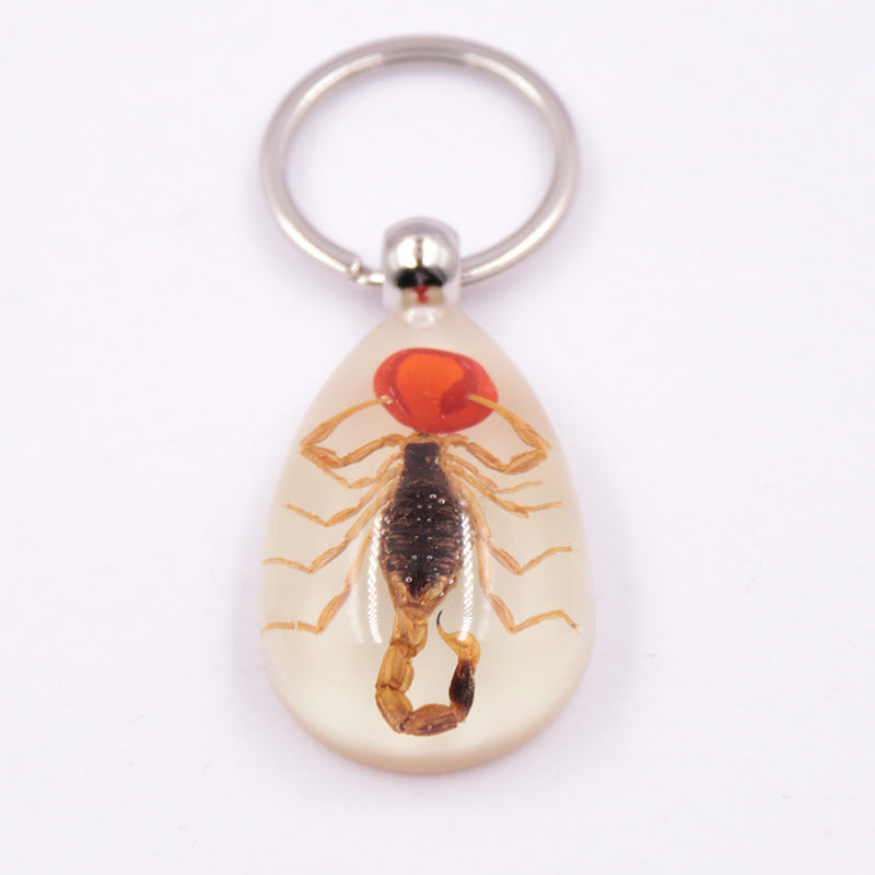 Wholesale Large Amber Glow-in-the-Dark Insect animal specimen Keychain