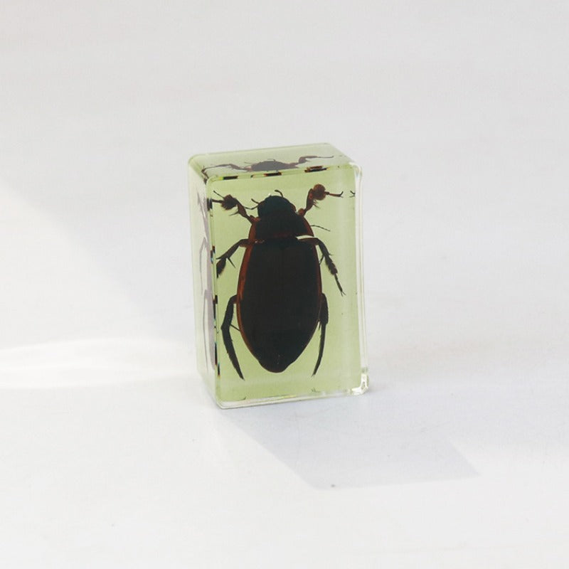 Wholesale 12pcs Luminous Real Insect Scorpion Desktop Resin Ornaments