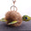 Wholesale Hairy Ball Cute Little Turtle Keychains