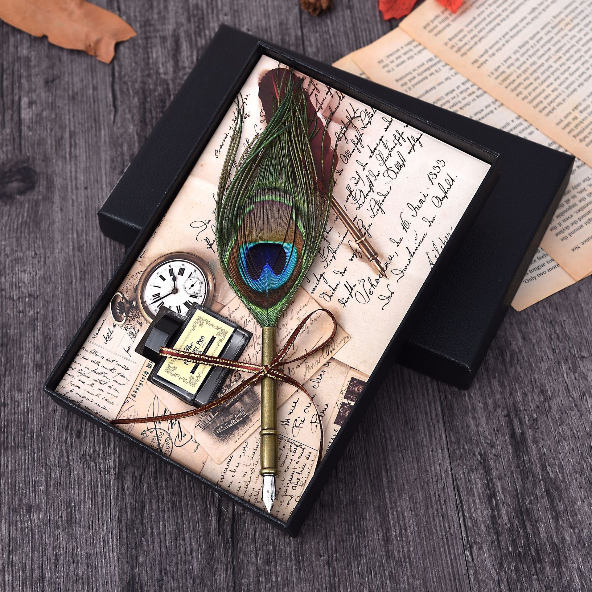 Wholesale Vintage Peacock Feather Fountain Pen Dip Pen Set Gift
