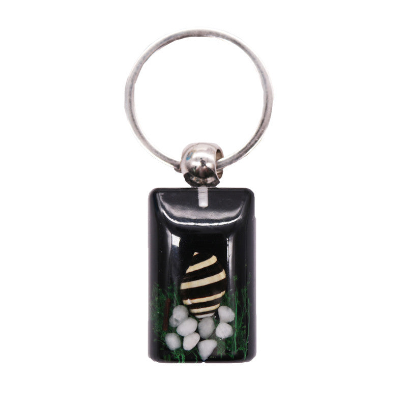 Wholesale 12pcs natural conch shell keychain