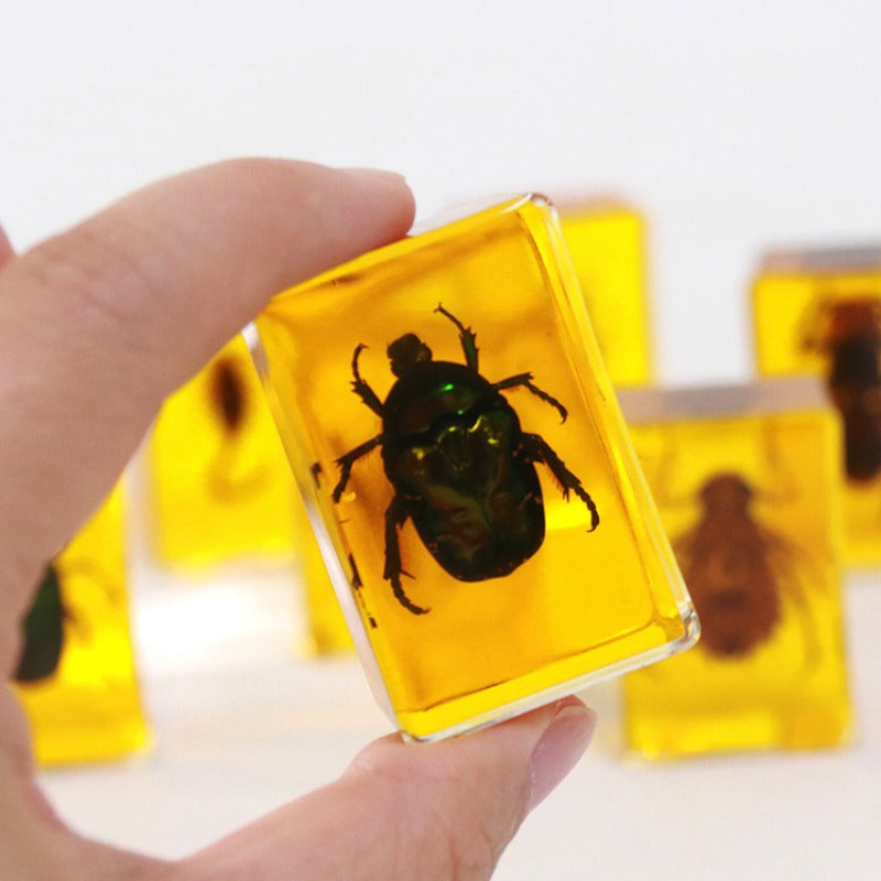 Wholesale 12pcs Real Insect Scorpion Resin HD Transparent Craft Ornaments