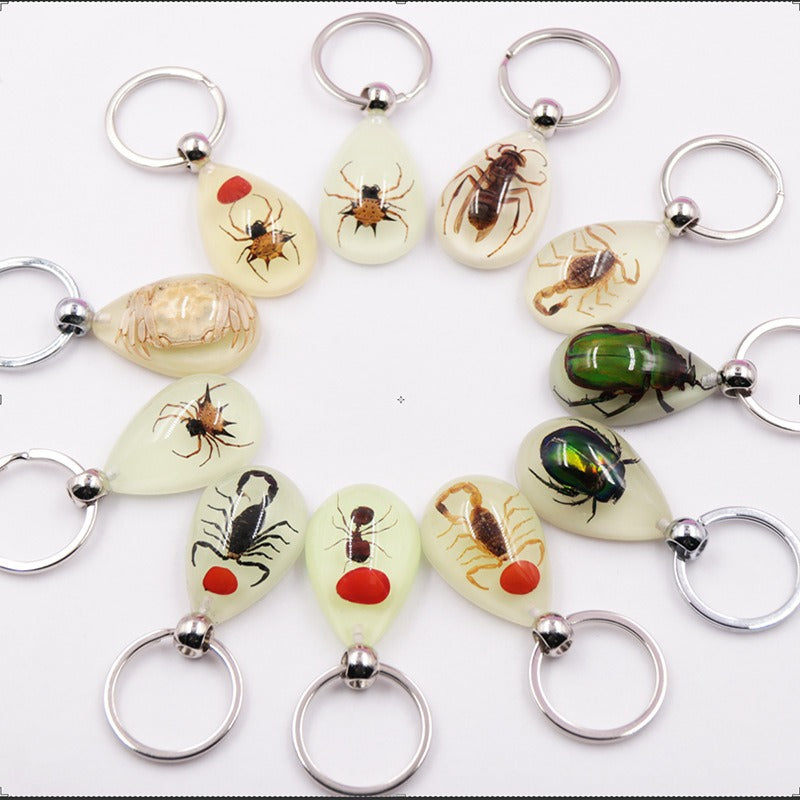 Wholesale 6pcs Real Insect Glue Resin Specimen Keychain