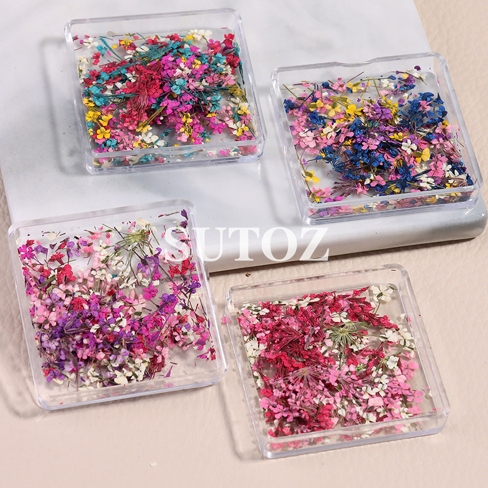 Wholesale 3pcs Nail Art Dried Flower Ornaments