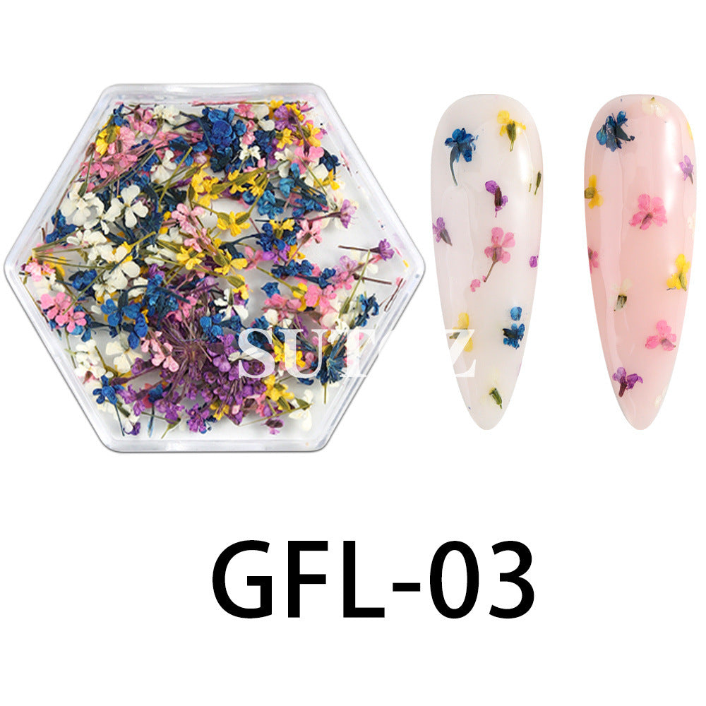 Wholesale 3pcs Nail Art Dried Flower Ornaments
