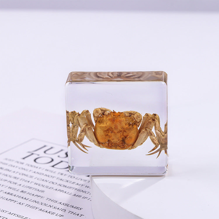 Wholesale 6pcs Square Resin Insect Animal Specimen Amber Craft Ornaments