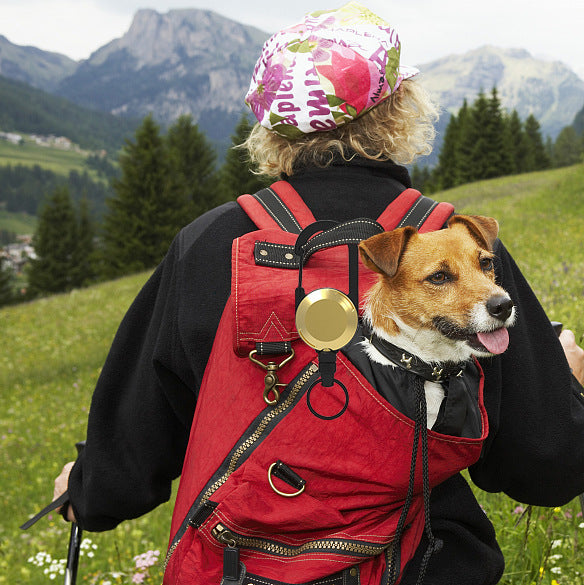 Wholesale ABS Simple Six Color Circular Mountaineering Buckle Sports Retractable Keychain