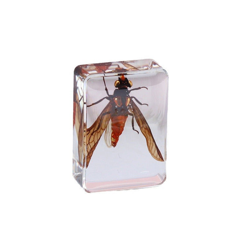 Wholesale 6pcs Small Insect Specimens Real Insect Resin Drip Glue Ornaments