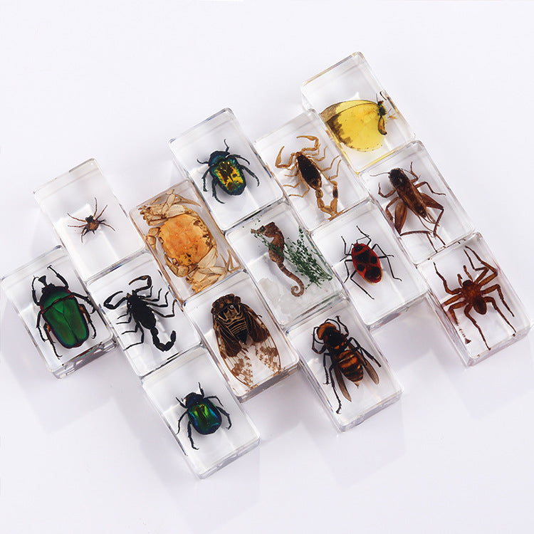 Wholesale 6pcs Handmade Glue Resin Insect Transparent Specimen Ornaments