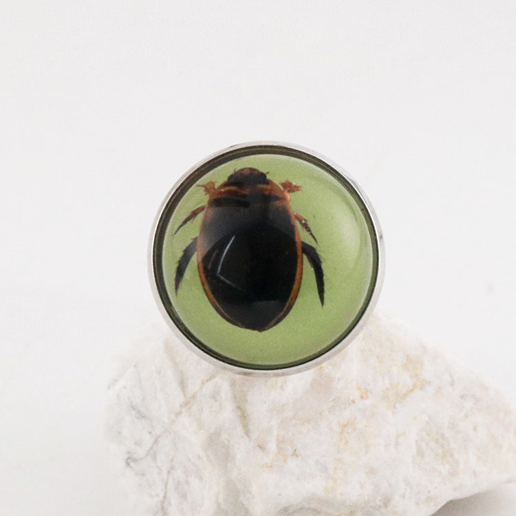 Wholesale 12pcs Luminous Fashion Real Insect Scorpion Resin Rings