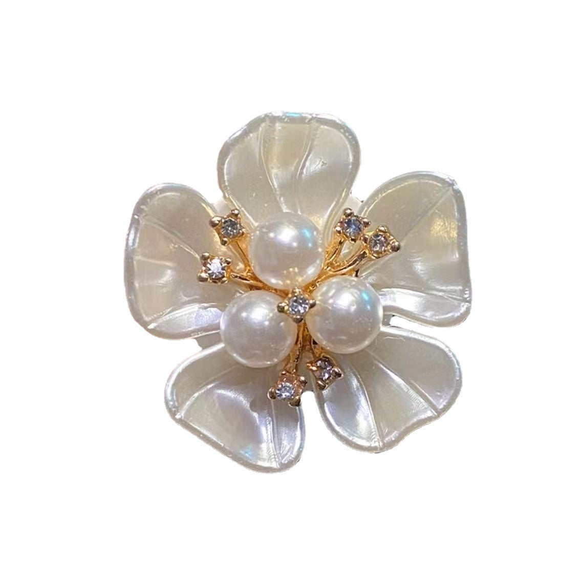 Wholesale Shell Lyonia Ovalifolia Plastic Car Accessories