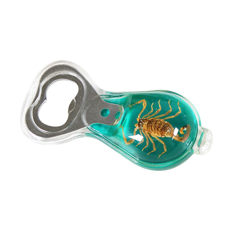 Wholesale 6pcs Real Insect Handmade Glue Bottle Opener Keychain