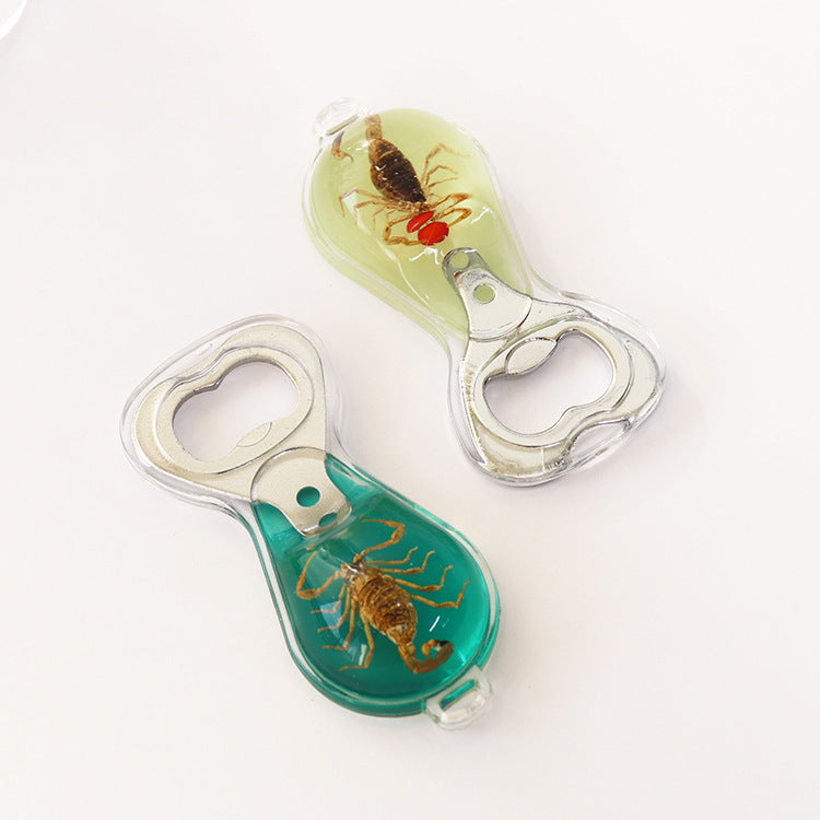 Wholesale 6pcs Real Insect Handmade Glue Bottle Opener Keychain