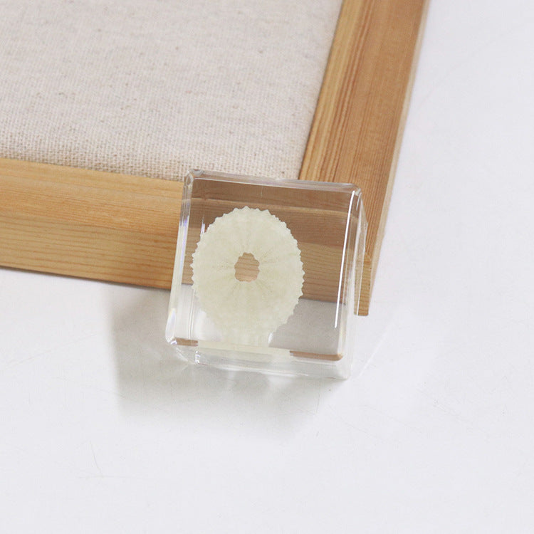 Wholesale 6pcs Ocean Cube Resin Crafts Ornaments