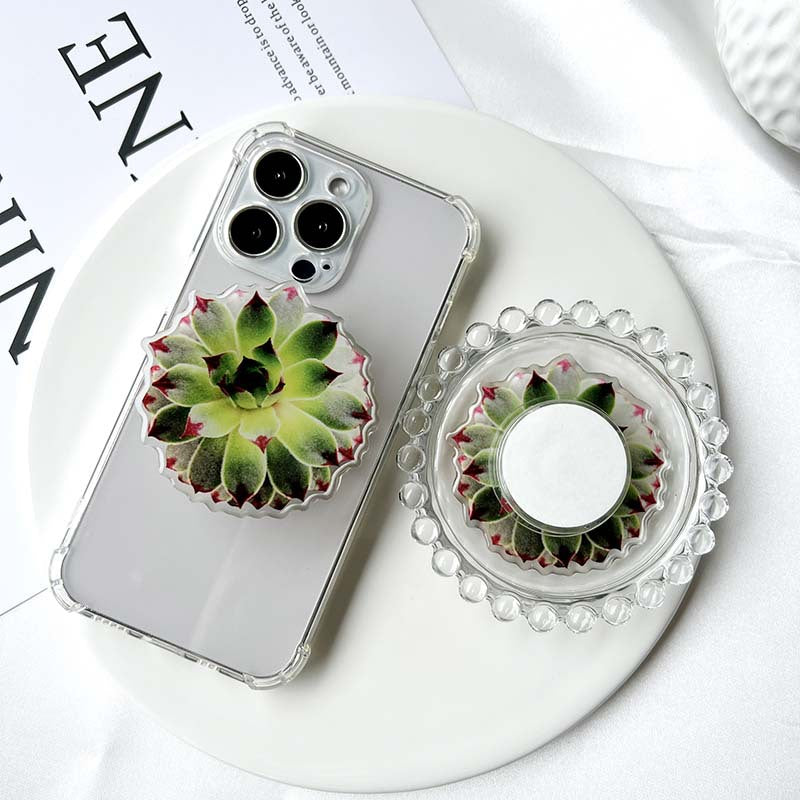 Soporte de teléfono de pegamento de suculentas acrílicas al por mayor