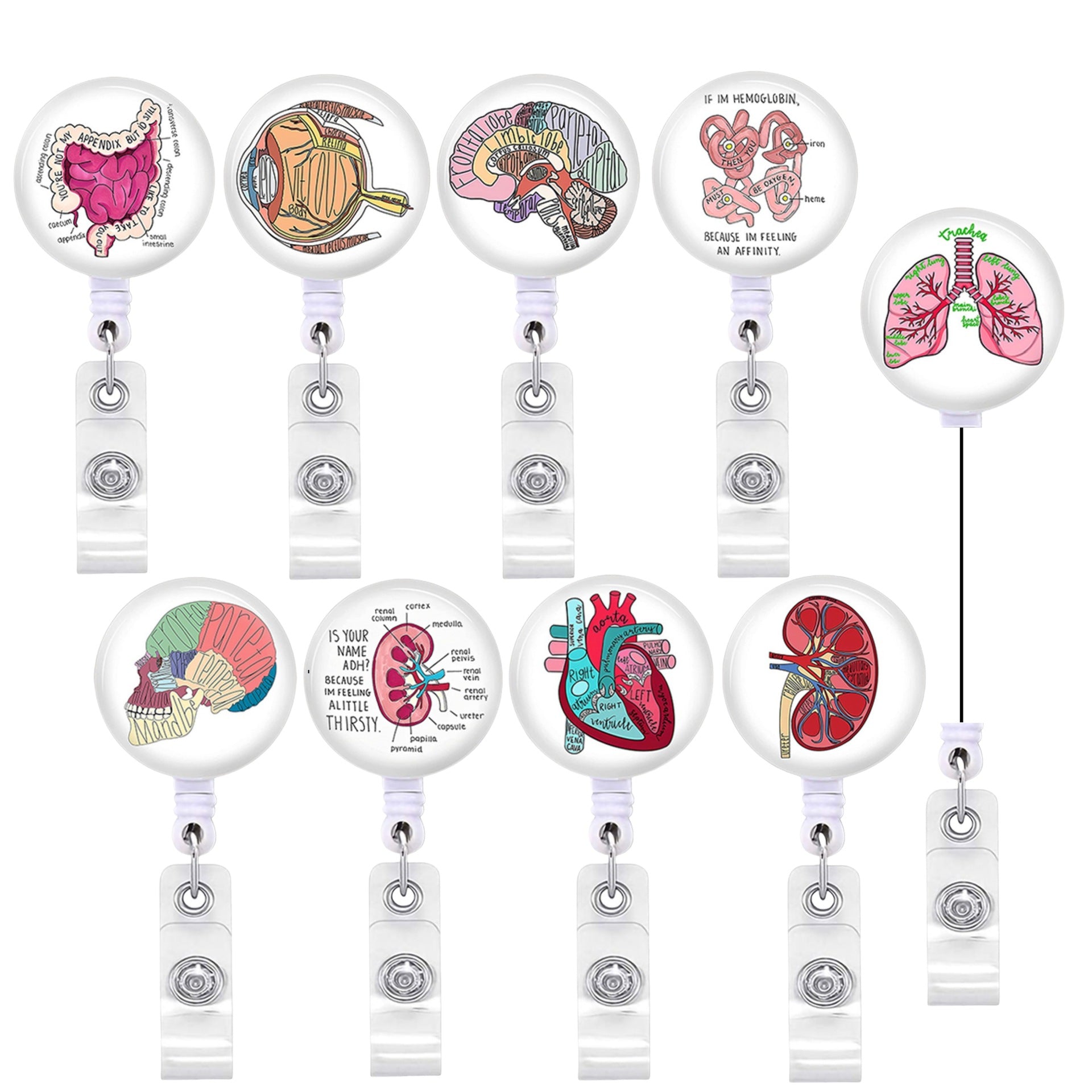 Wholesale Heart brain gastrointestinal tract  human organs Badge Reels