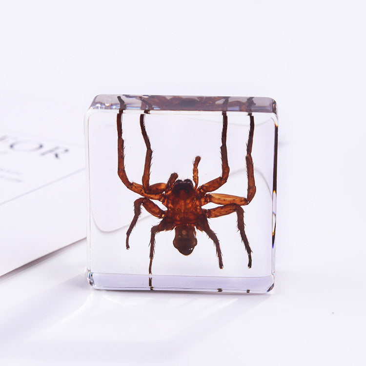 Wholesale 6pcs Square Resin Insect Animal Specimen Amber Craft Ornaments