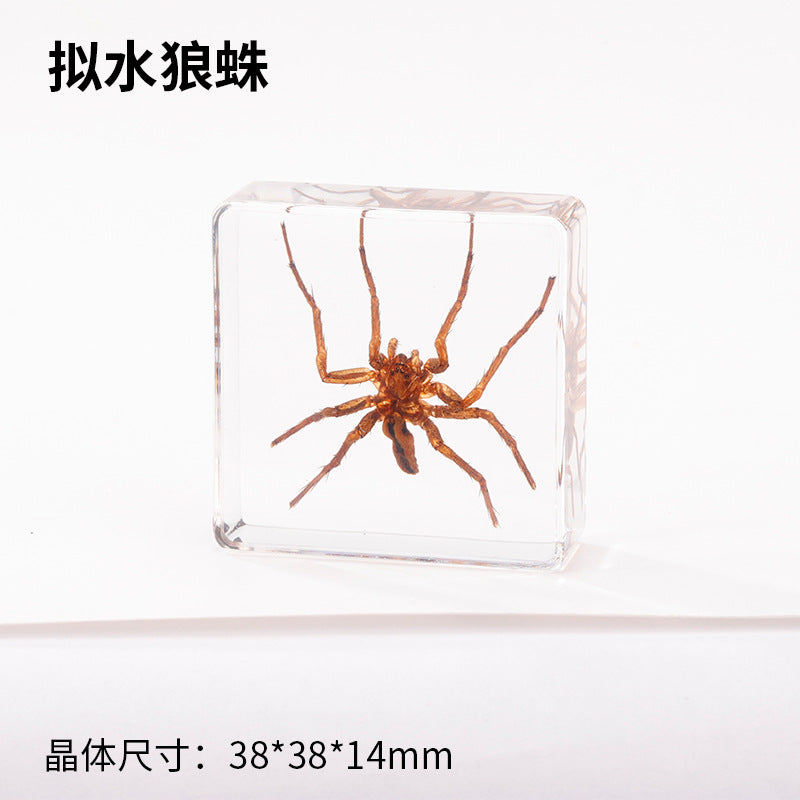 Wholesale Real Insect Specimen Resin Crafts Small Ornaments