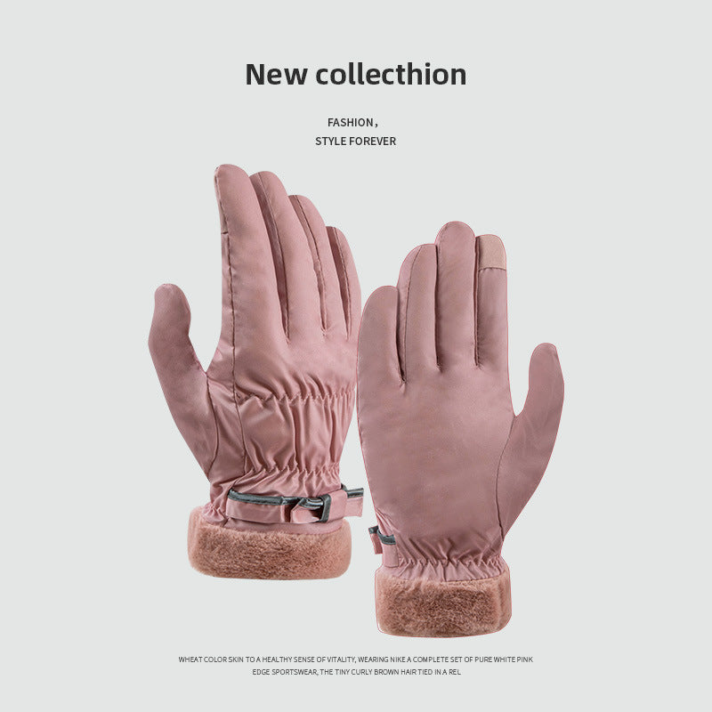 Wholesale Autumn and Winter Warm and Windproof Gloves with Touch Screen