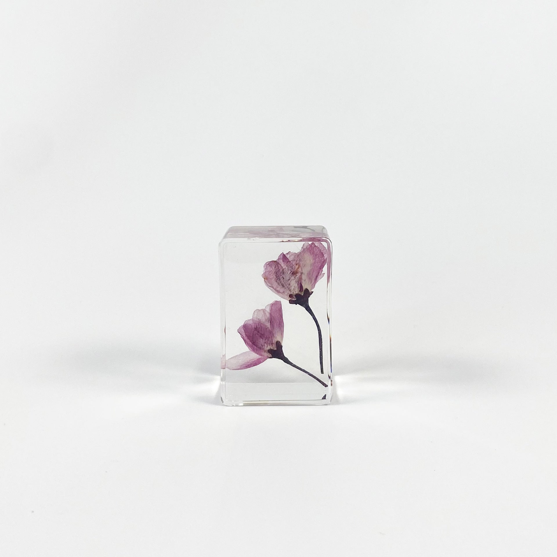 Wholesale 6pcs Handmade Glue Resin Transparent Dried Flower Specimen Ornaments