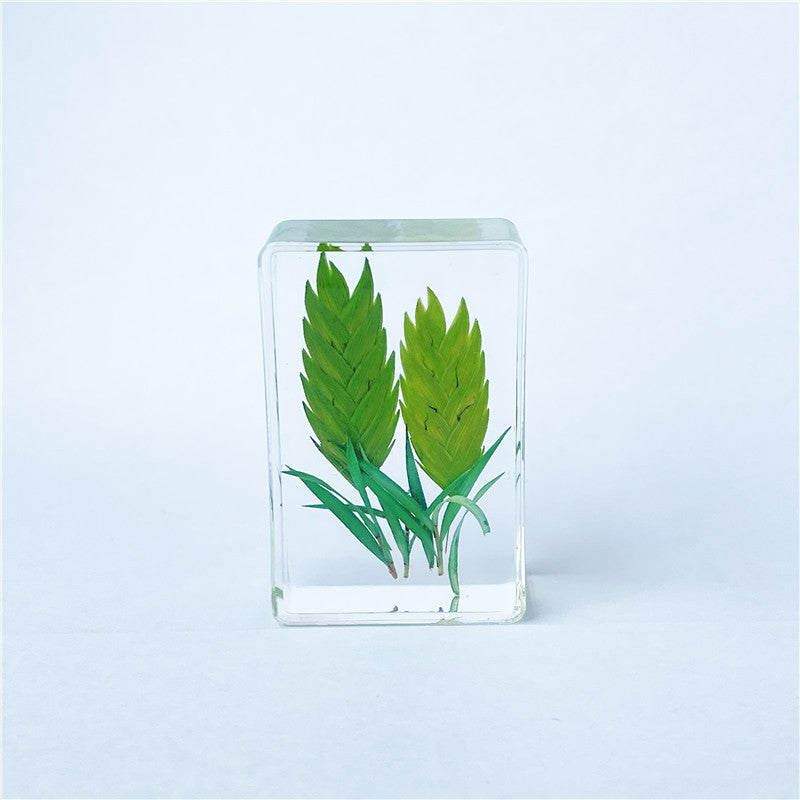 Wholesale 6pcs Handmade Resin Dripping Plant Wheat Ear Specimen Ornaments