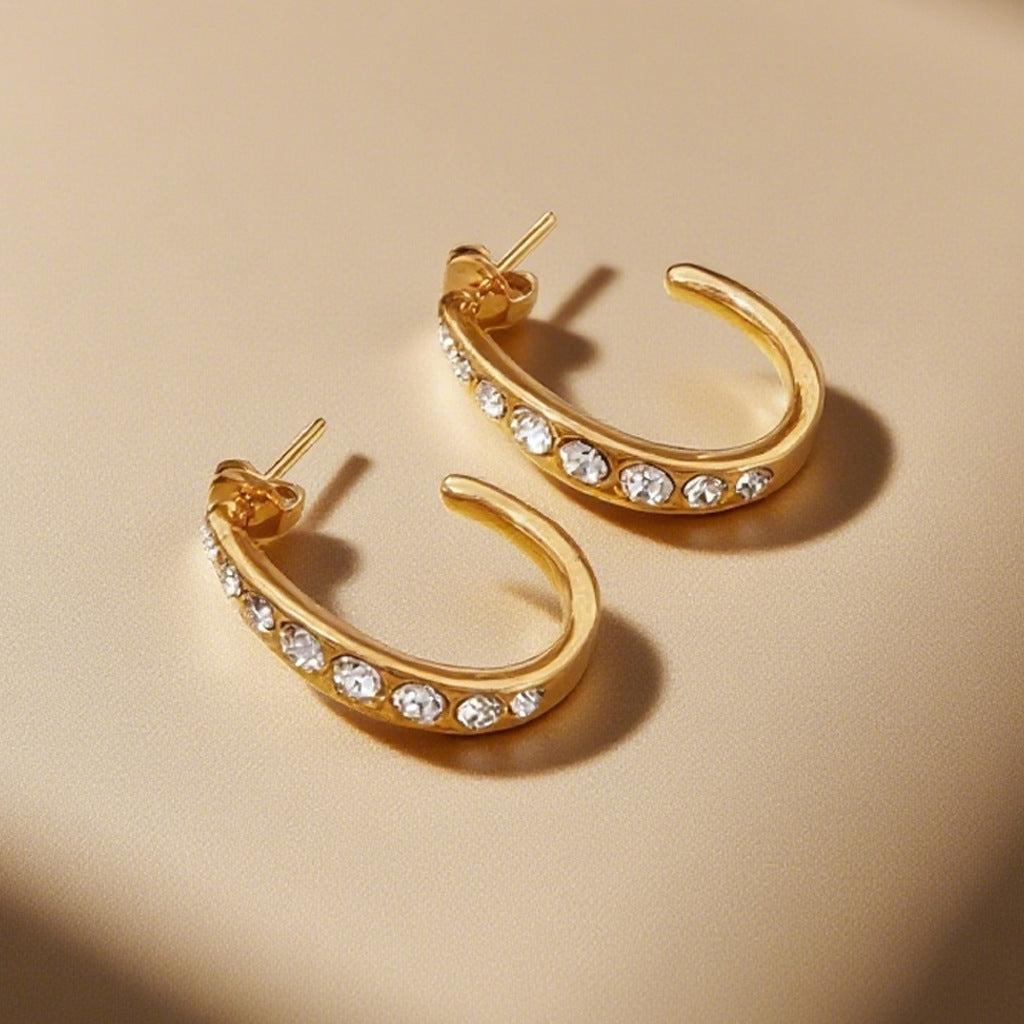 Wholesale Titanium Alloy Gold-Colored Earrings Luxury Style