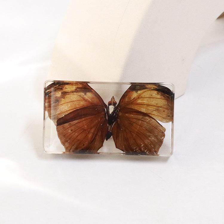 Wholesale 6pcs Real Butterfly with Wings Spread 3D Crafts Ornaments