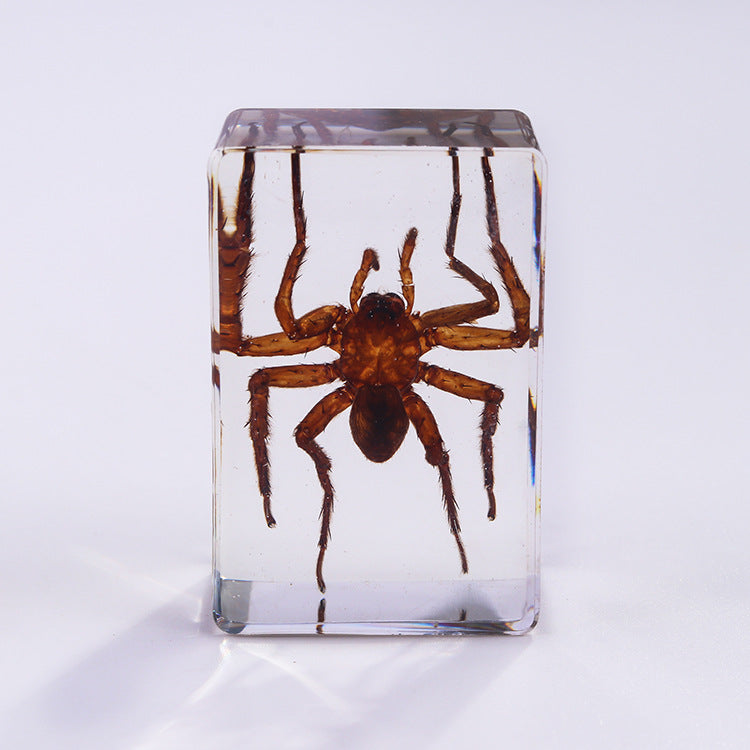 Wholesale 6pcs Handmade Glue Resin Insect Transparent Specimen Ornaments