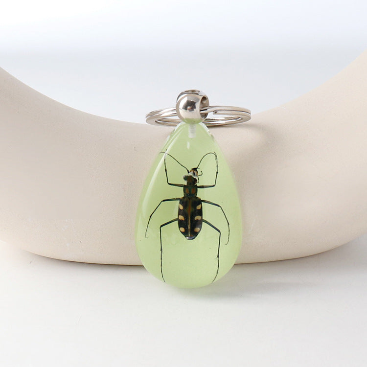Wholesale Large Amber Glow-in-the-Dark Insect animal specimen Keychain