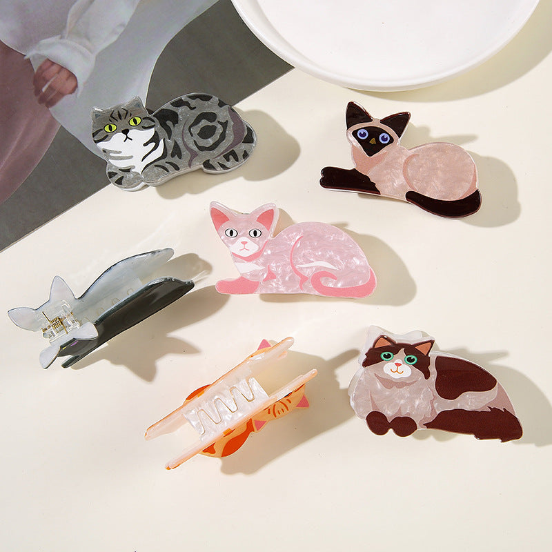 Wholesale Cute Kitten Acrylic Hair Claw Clip Stylish Cat Half Hairpin For Everyday Fashion Accessory And Gift