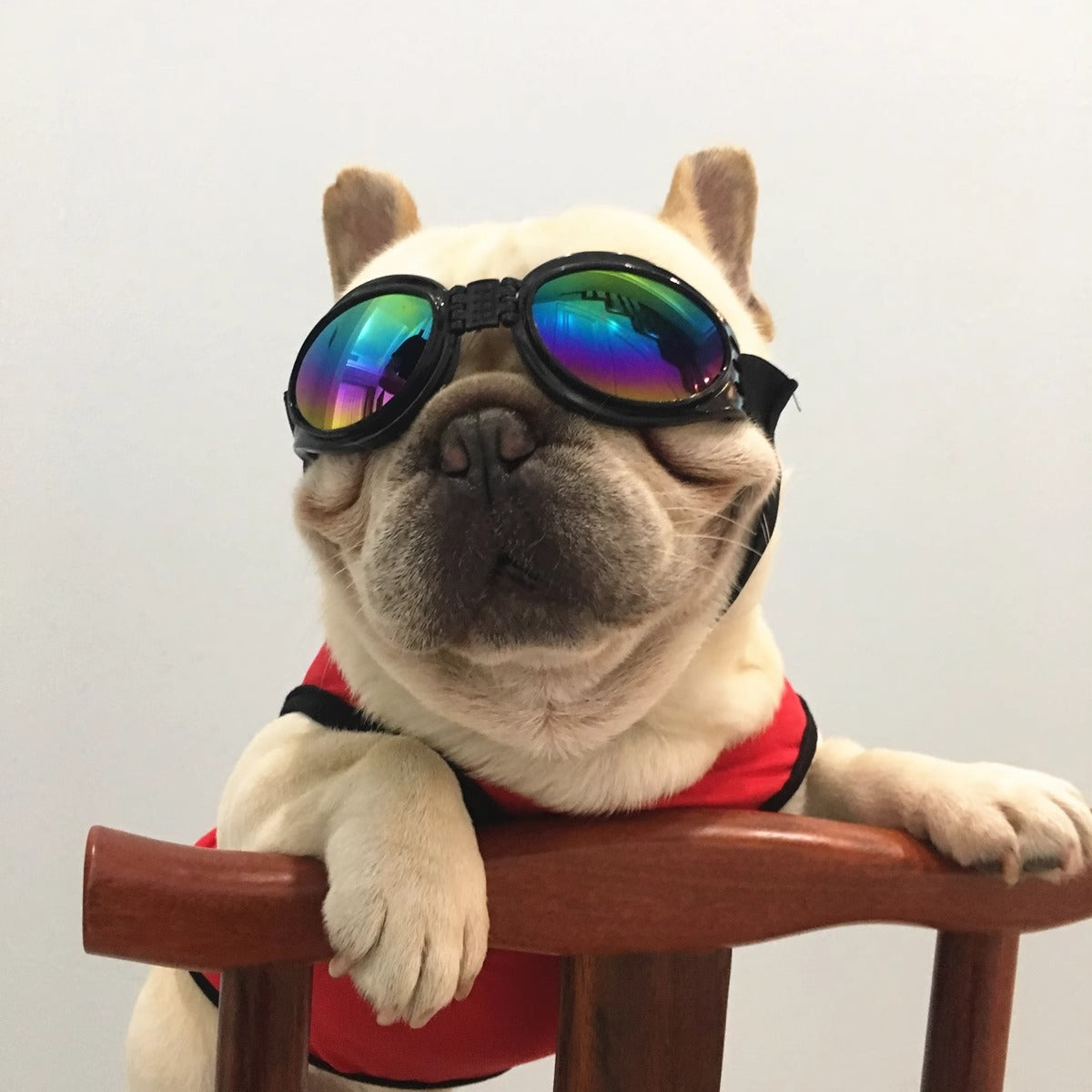 Wholesale Pet dog sunglasses windproof sun protection goggles photo props