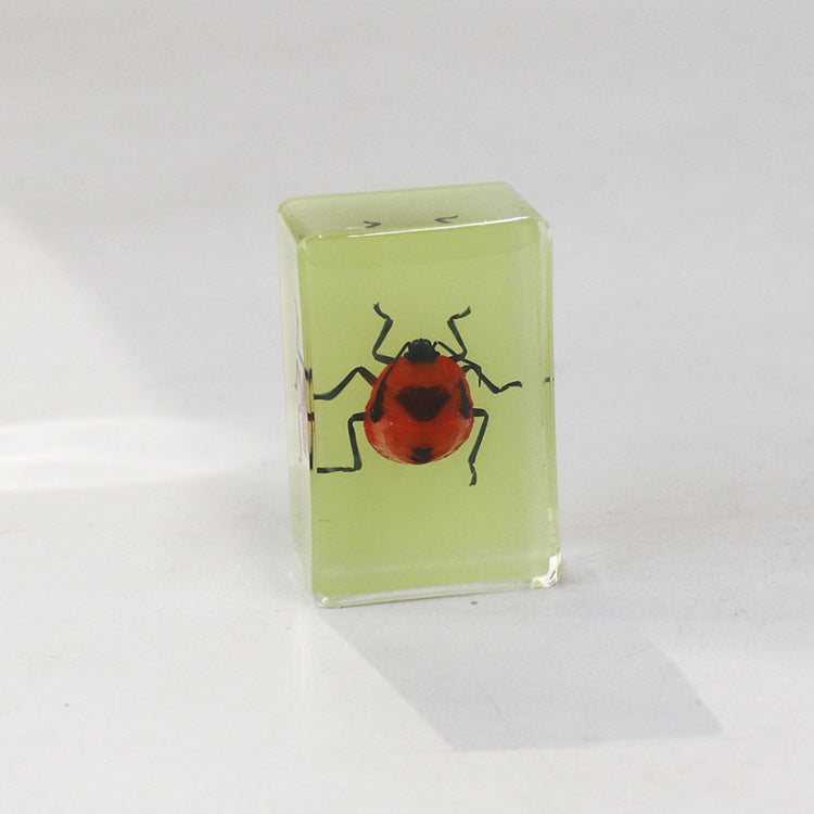 Wholesale 12pcs Luminous Real Insect Scorpion Desktop Resin Ornaments