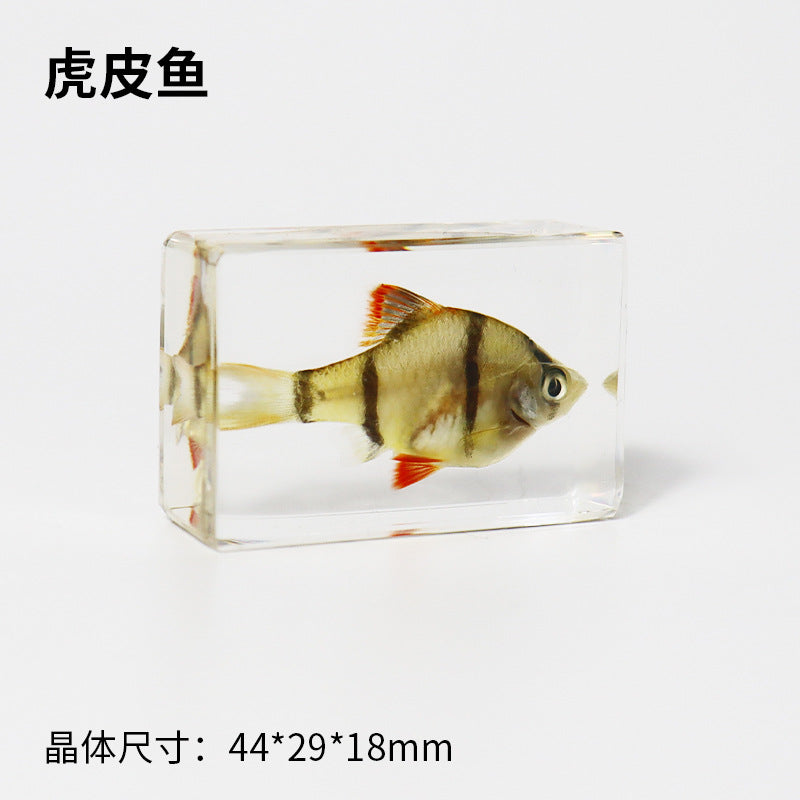 Wholesale Real Marine Fish Resin Specimen Ornaments