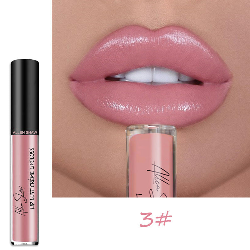 Wholesale Lipstick Lip Gloss Allen Shaw Creme Cream Lip Gloss