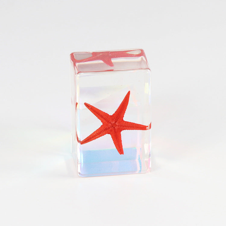 Wholesale 12pcs Epoxy Starfish Specimen Hot Sale Resin Crafts Ornaments