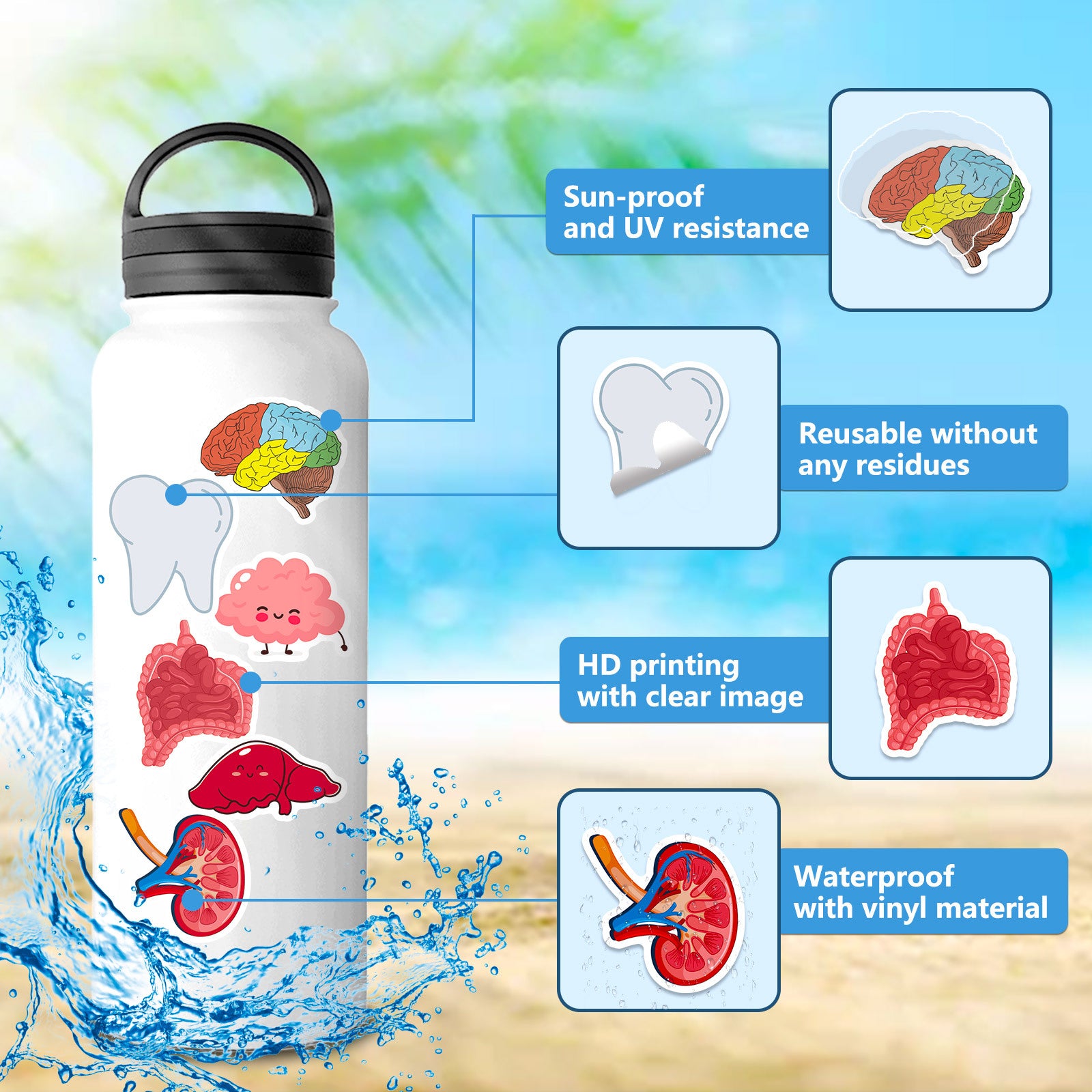 Wholesale 50pcs Cute human organ stickers anatomy cartoon human organ children's early education stickers