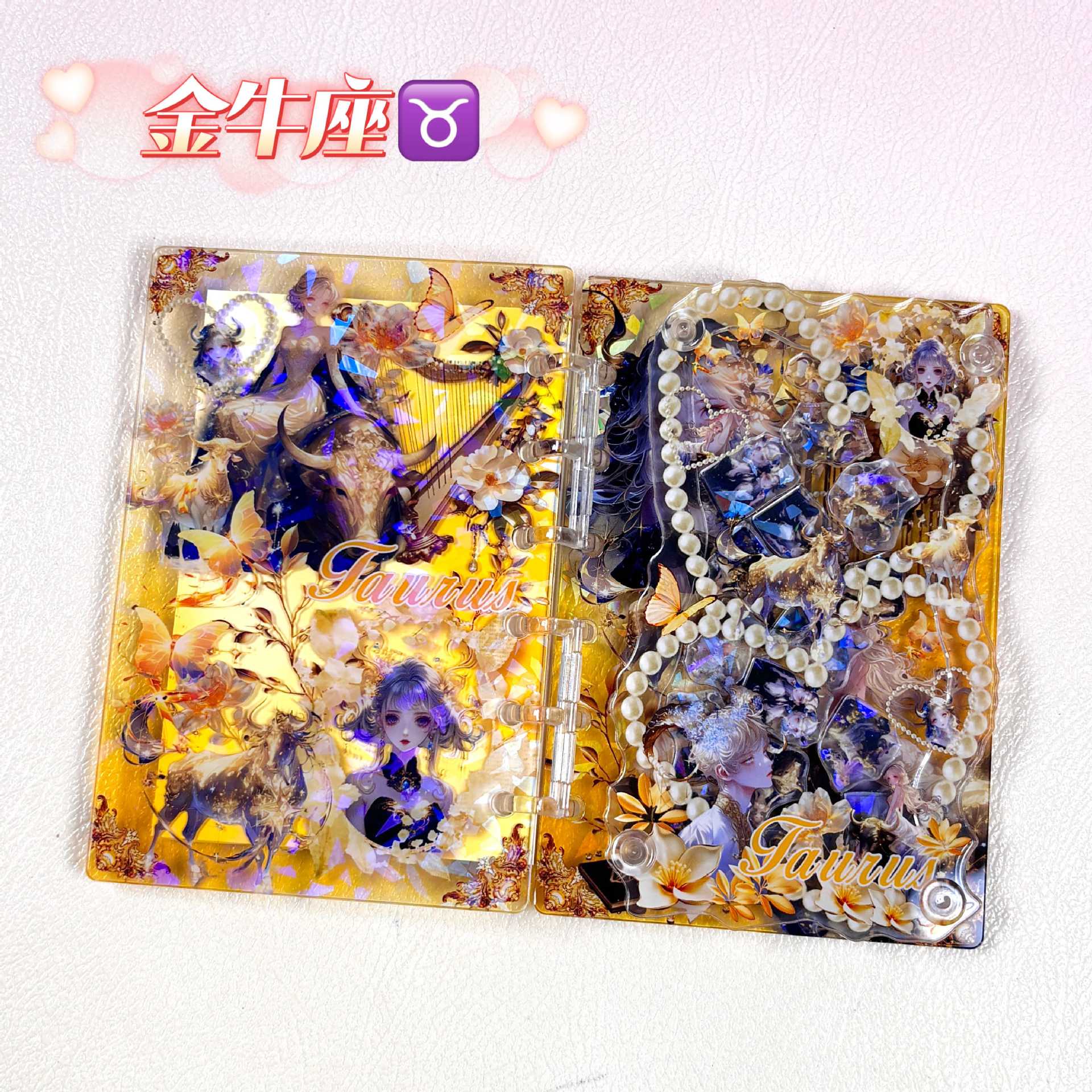 Wholesale Twelve Constellations Acrylic Shaker Book A7 Loose-leaf Notebook