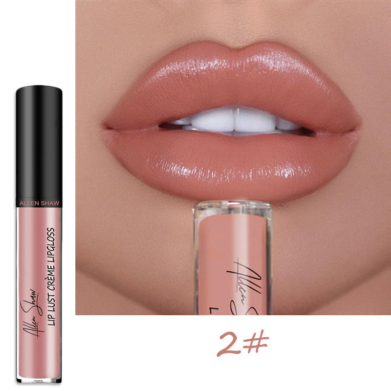 Wholesale Lipstick Lip Gloss Allen Shaw Creme Cream Lip Gloss