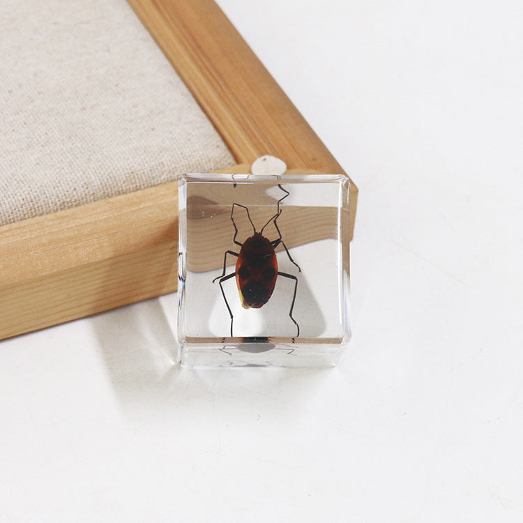 Wholesale 6pcs 4cm Cube Insect Resin HD Transparent Resin Ornaments