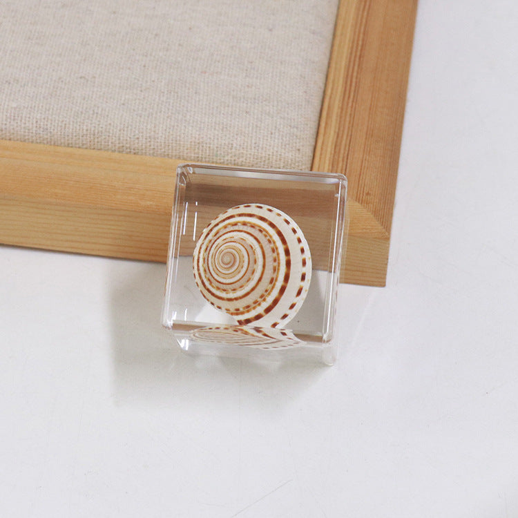 Wholesale 6pcs Ocean Cube Resin Crafts Ornaments