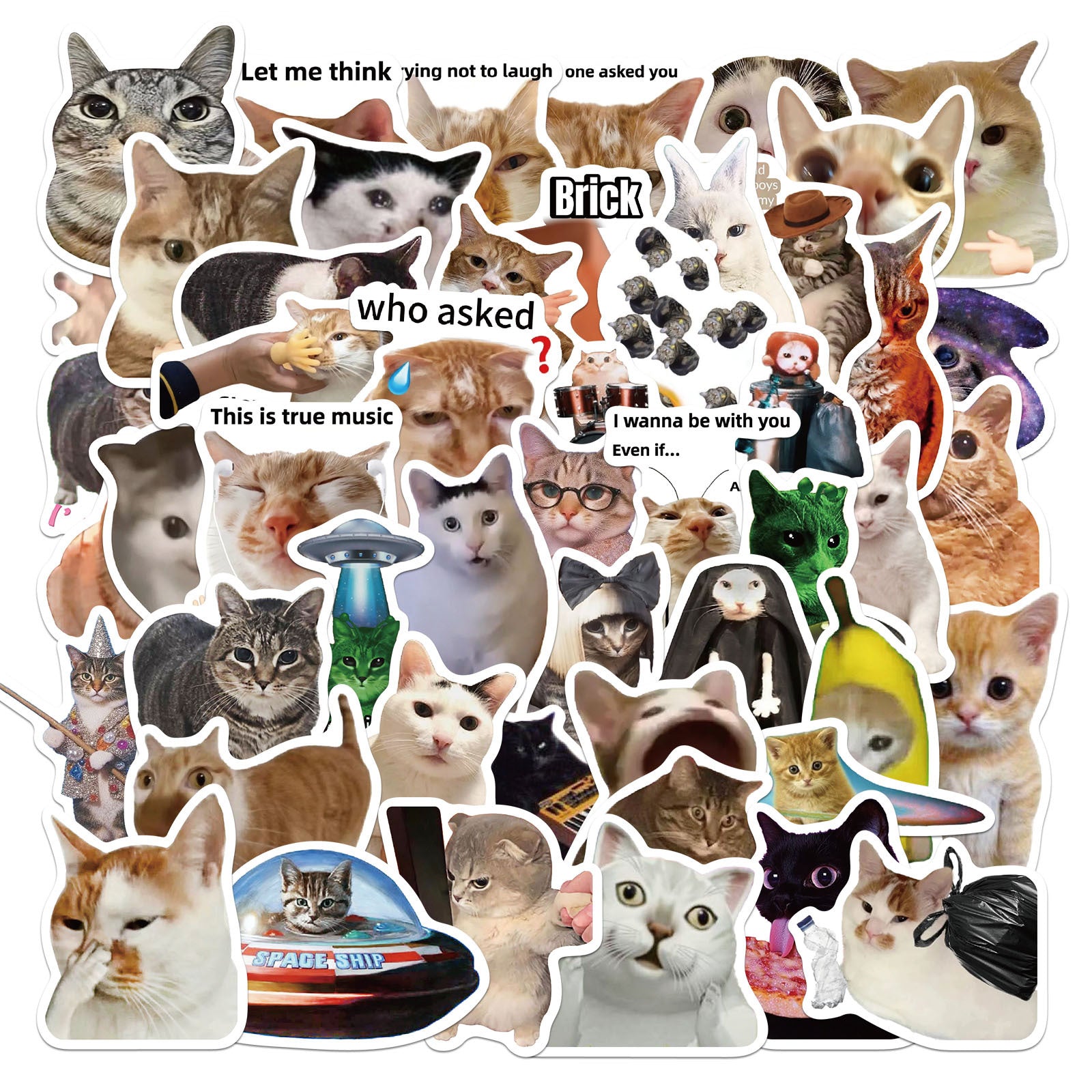 Wholesale 50pcs cartoon funny cat Waterproof Vinyl Stickers