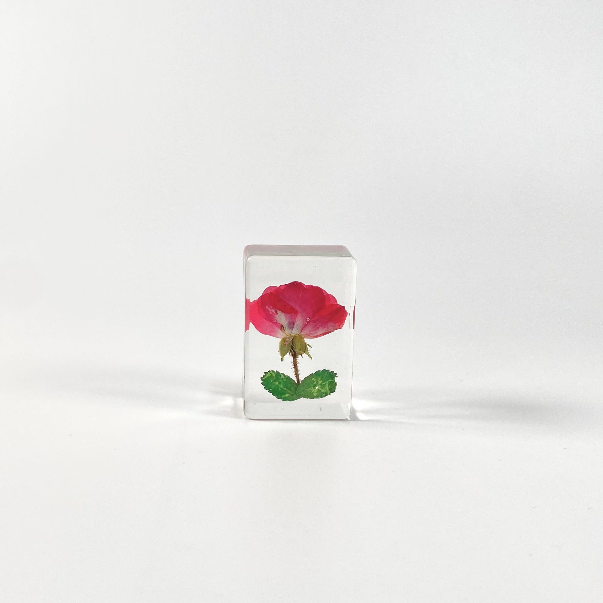 Wholesale 6pcs Handmade Glue Resin Transparent Dried Flower Specimen Ornaments