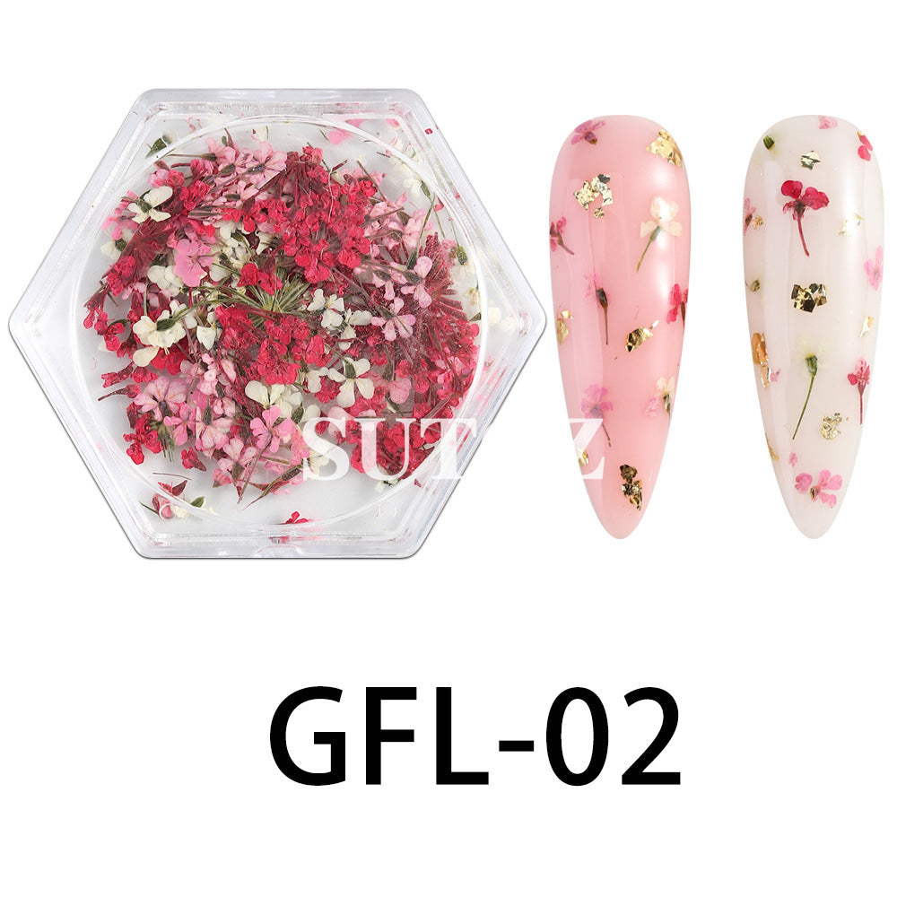 Wholesale 3pcs Nail Art Dried Flower Ornaments