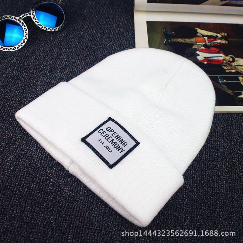 Wholesale Letter Label Wool Cap Knitted Hat