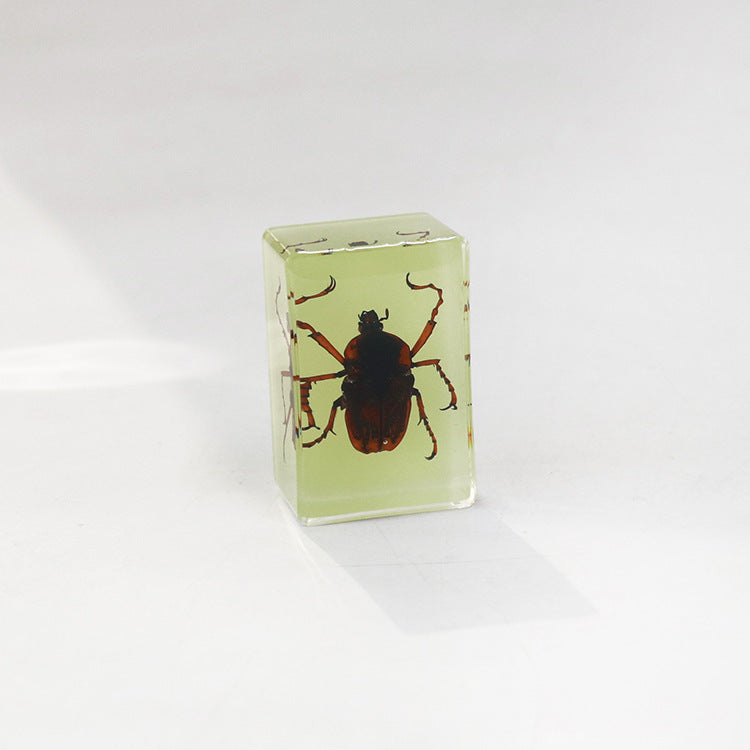 Wholesale 12pcs Luminous Real Insect Scorpion Desktop Resin Ornaments