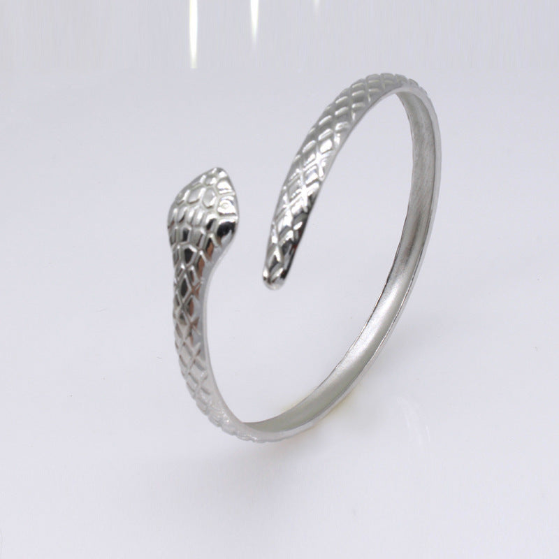 Wholesale Open Serpentine Zodiac Couple Stainless Steel Titanium Steel Bracelet